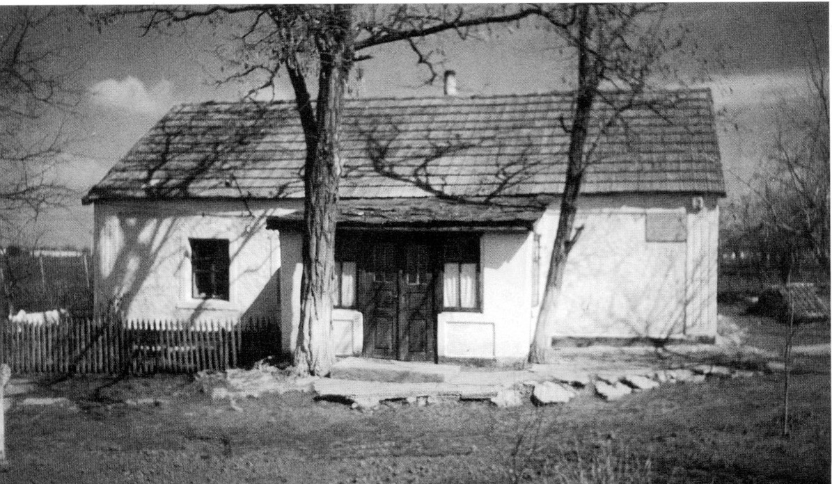 Батьківська хата на Миколаївщині