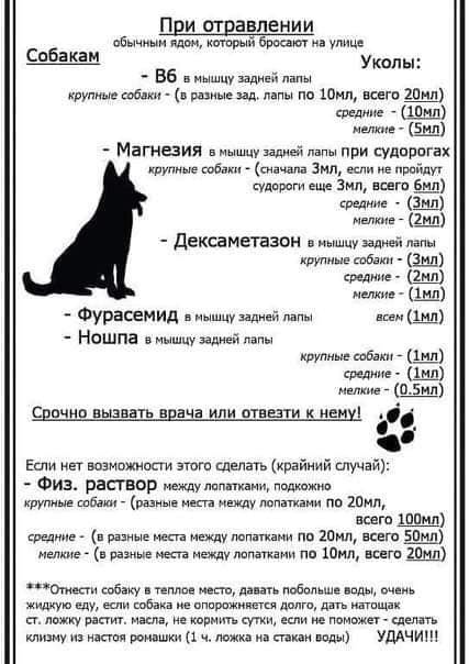 Несколько важных правил, которые стоит знать