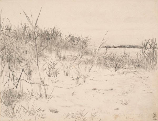 Плавни против Никополя. 1880 год