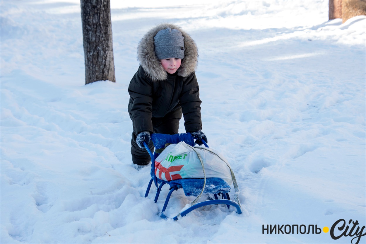 Пословица "Любишь кататься — люби и саночки возить" в действии