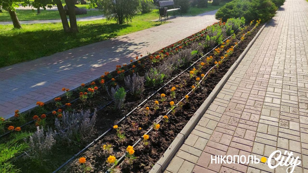 Озеленення міста - головний пункт у статутній діяльності "паркового"