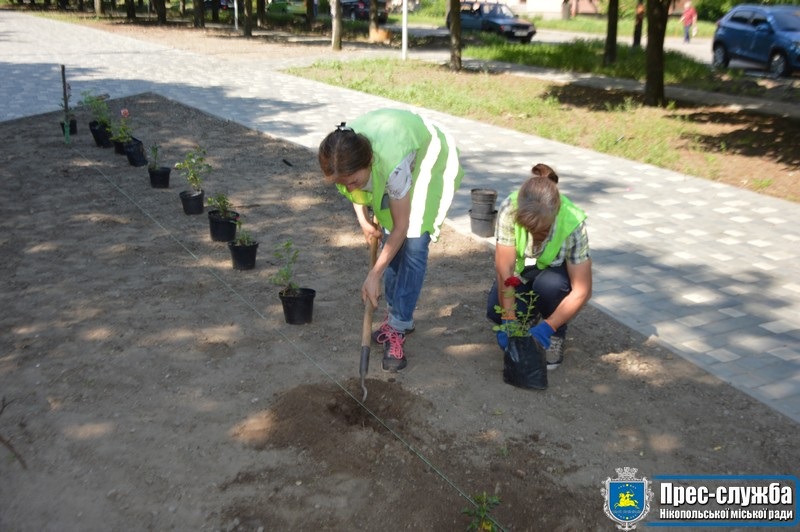 Так комунальники саджали троянжи влітку цього року на алеї Каштановій