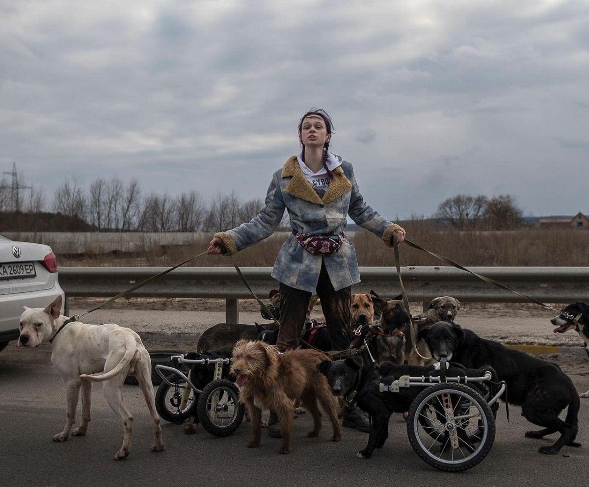 The terrible face of war: footage from Ukraine 