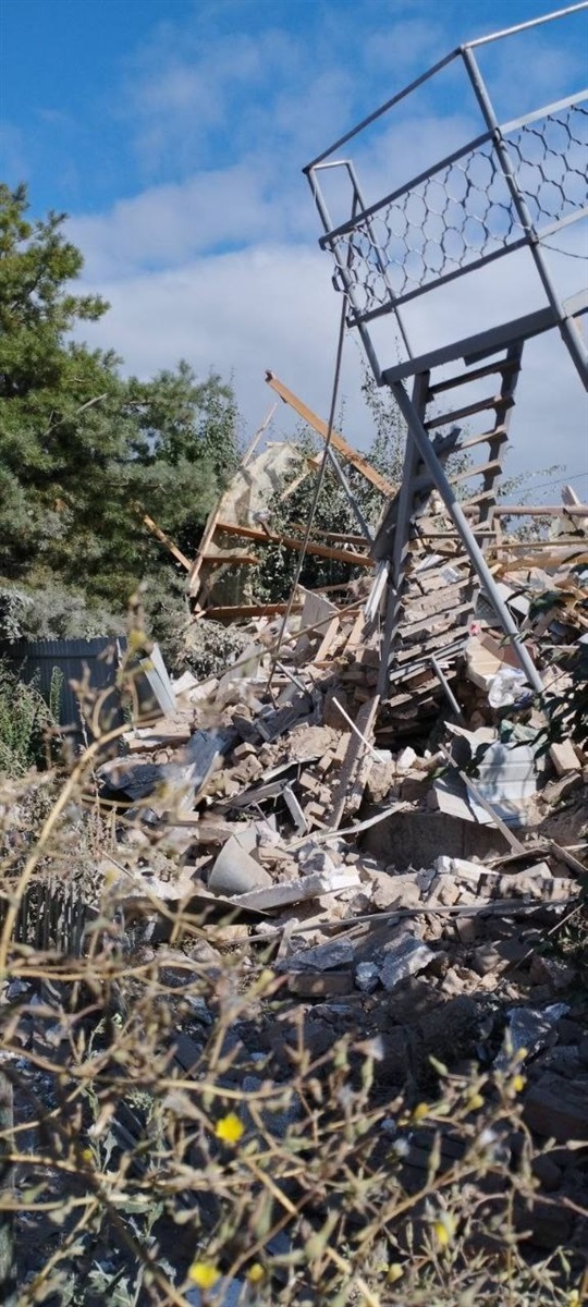 Сосна на подвір'ї будинку, яка вижила після обстрілу