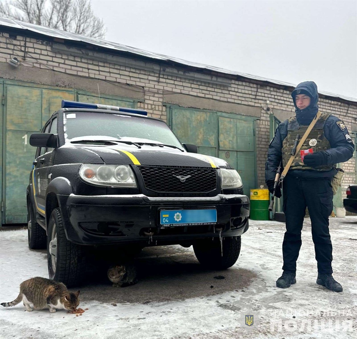 Вуличних котів поліцейські годують кормом, який самостійно купують