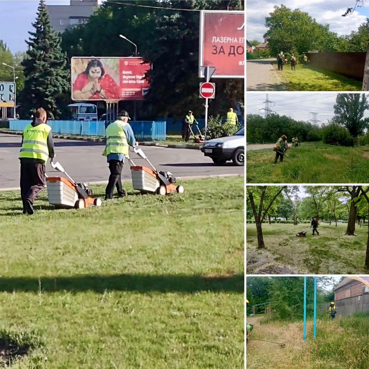 Покіс газонів